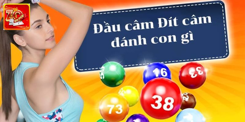 Lời khuyên cho newbie khi đầu tư đầu câm đít câm